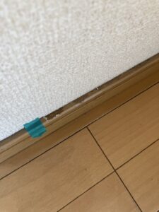 木巾木リペア