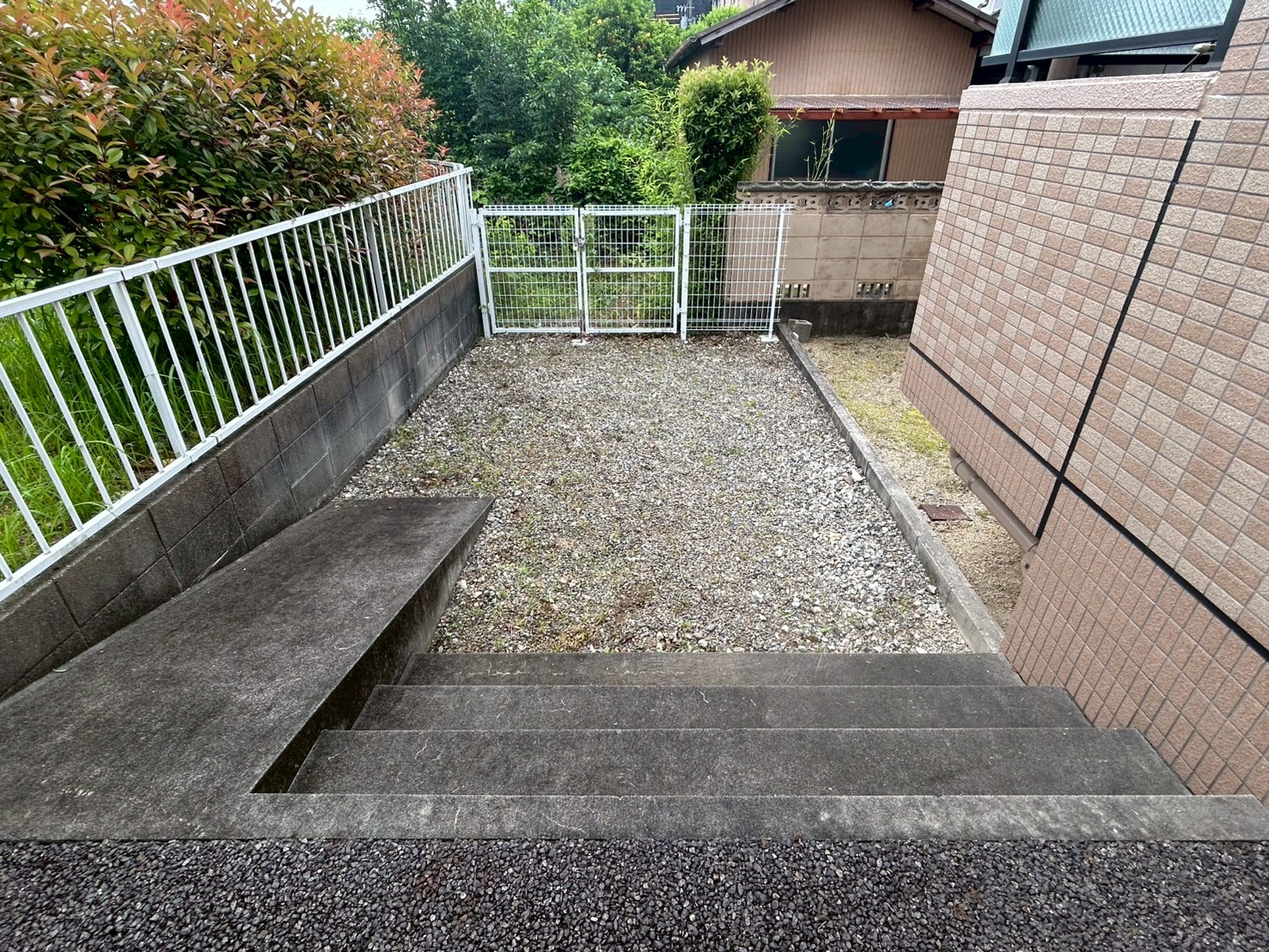 雑草除去作業！