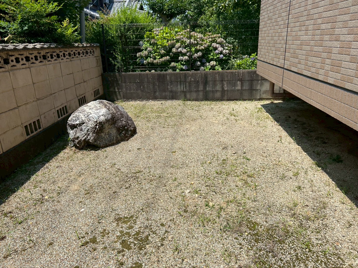 敷地内雑草取り