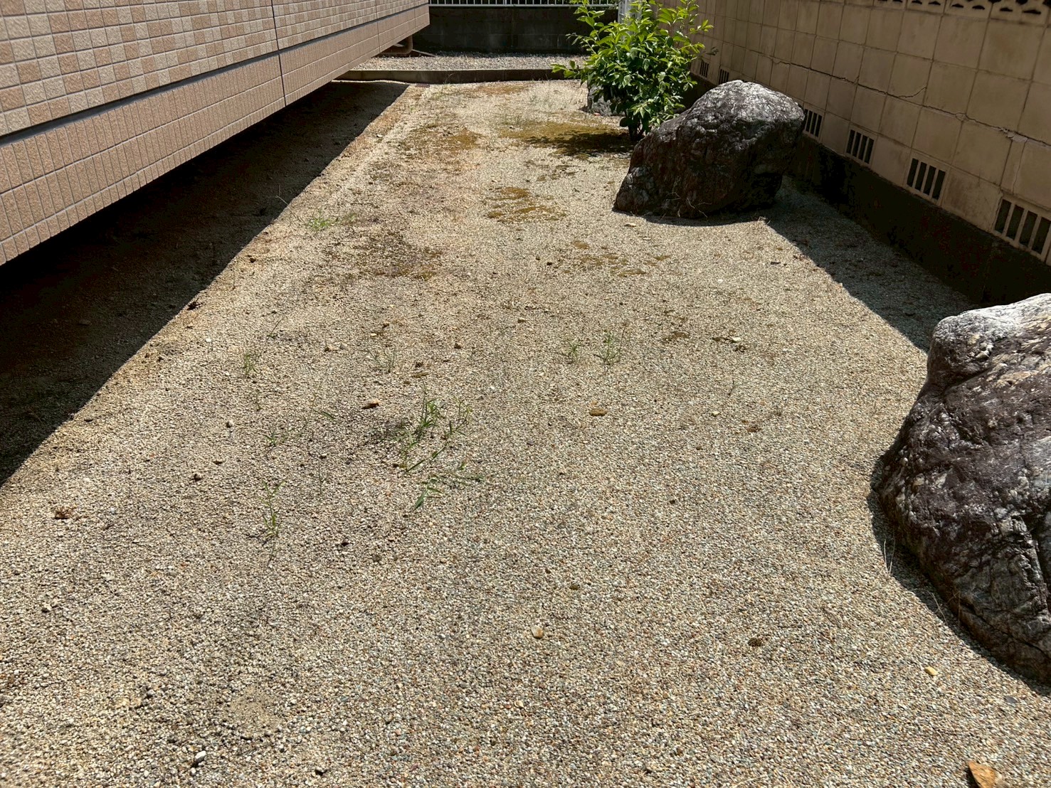 マンション敷地内雑草除去