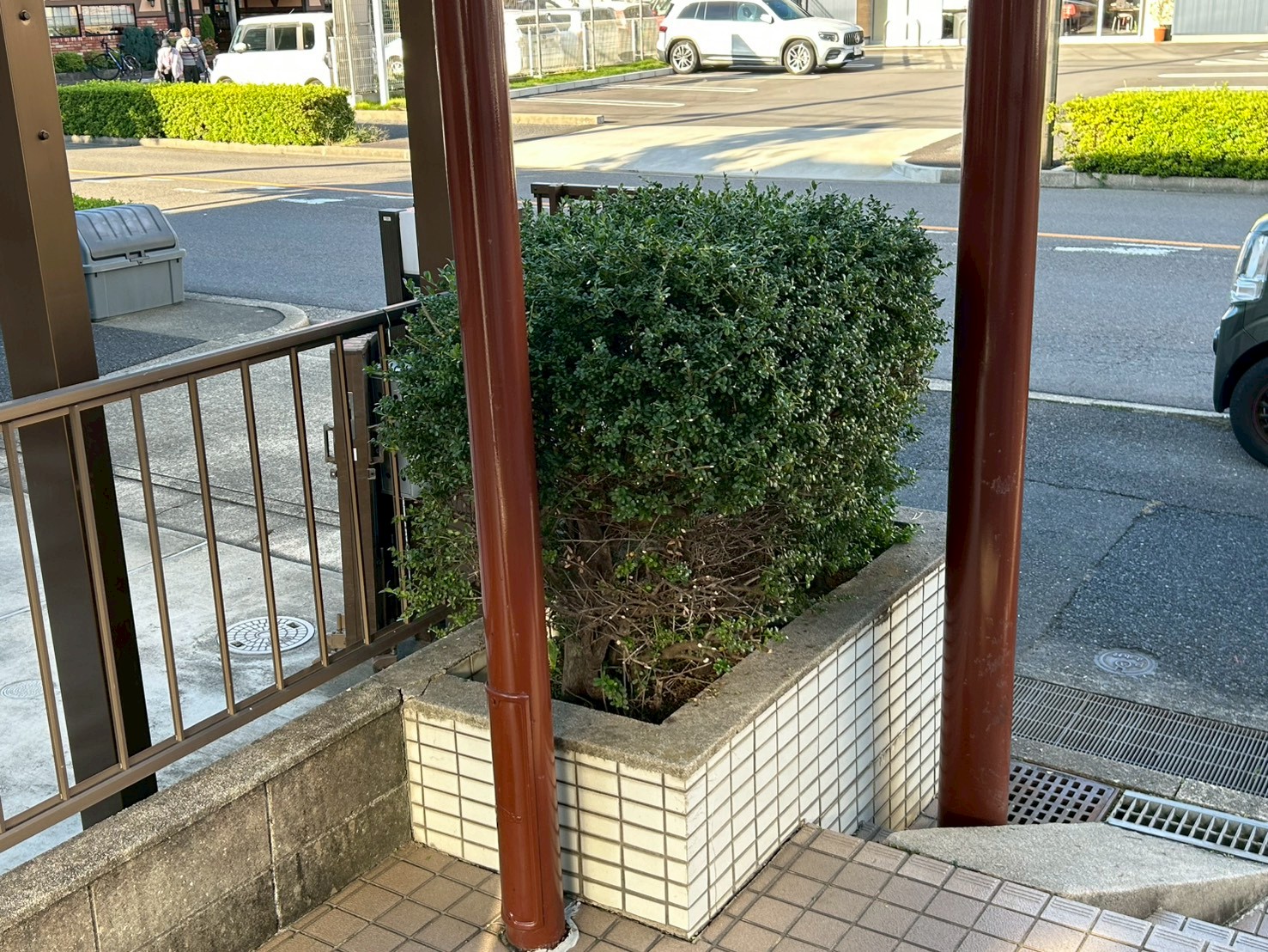 植栽剪定
