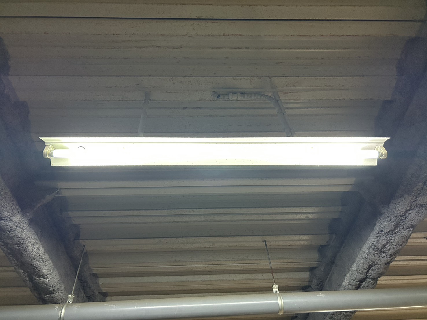 マンション共用部分蛍光灯交換